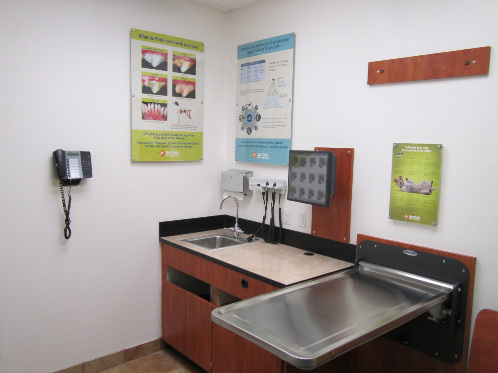 The Banfield Altamonte Springs exam room