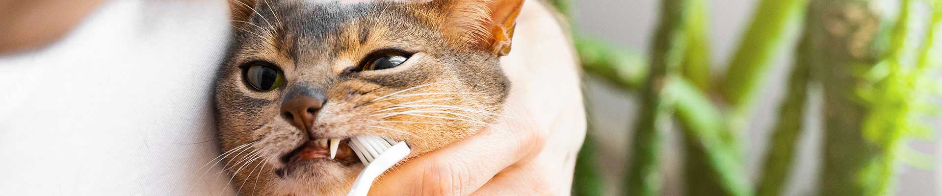 20230416_001_1920x400