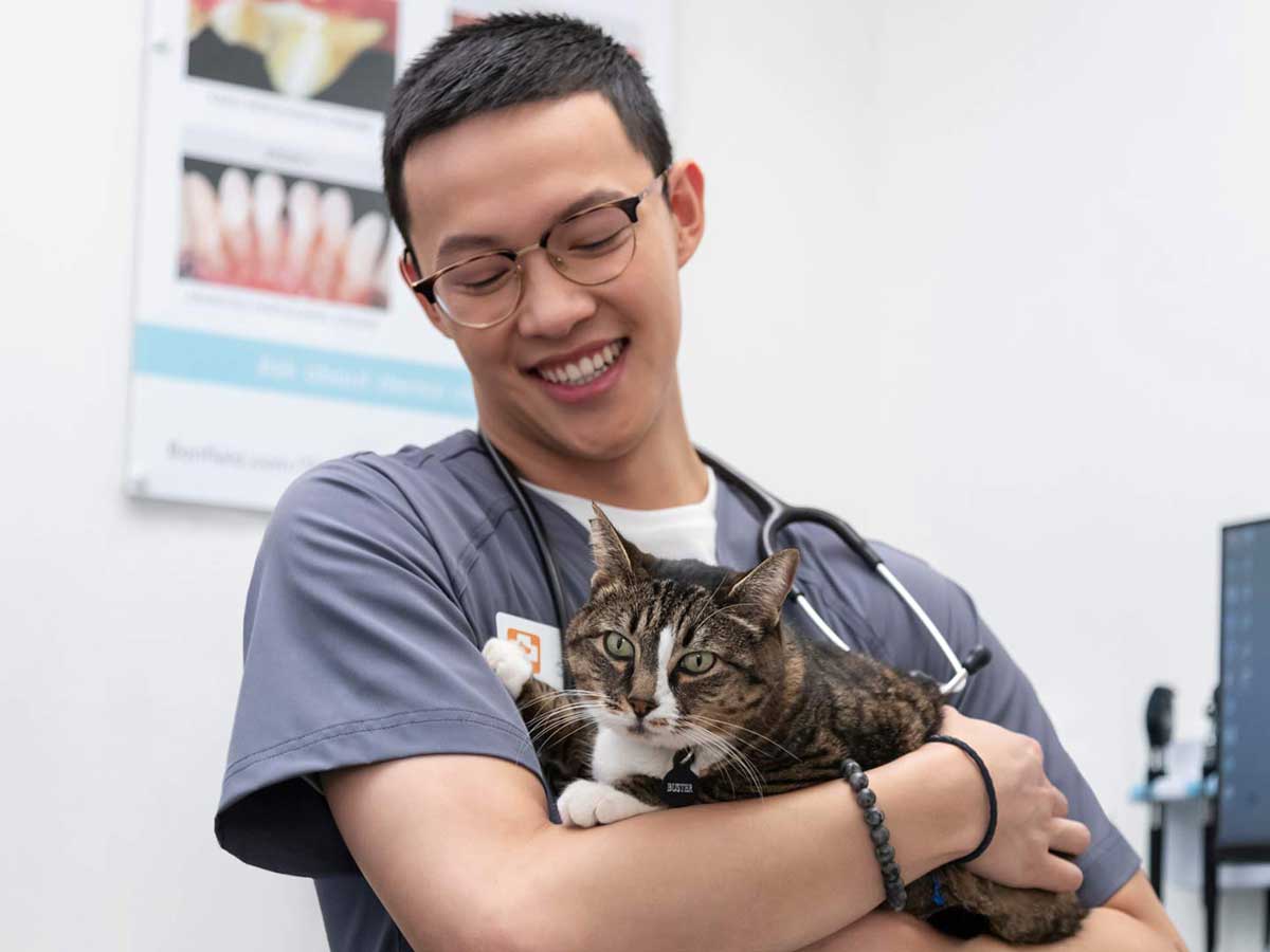 Vet assistant Joseph Slater holds a cat in a Banfield exam room