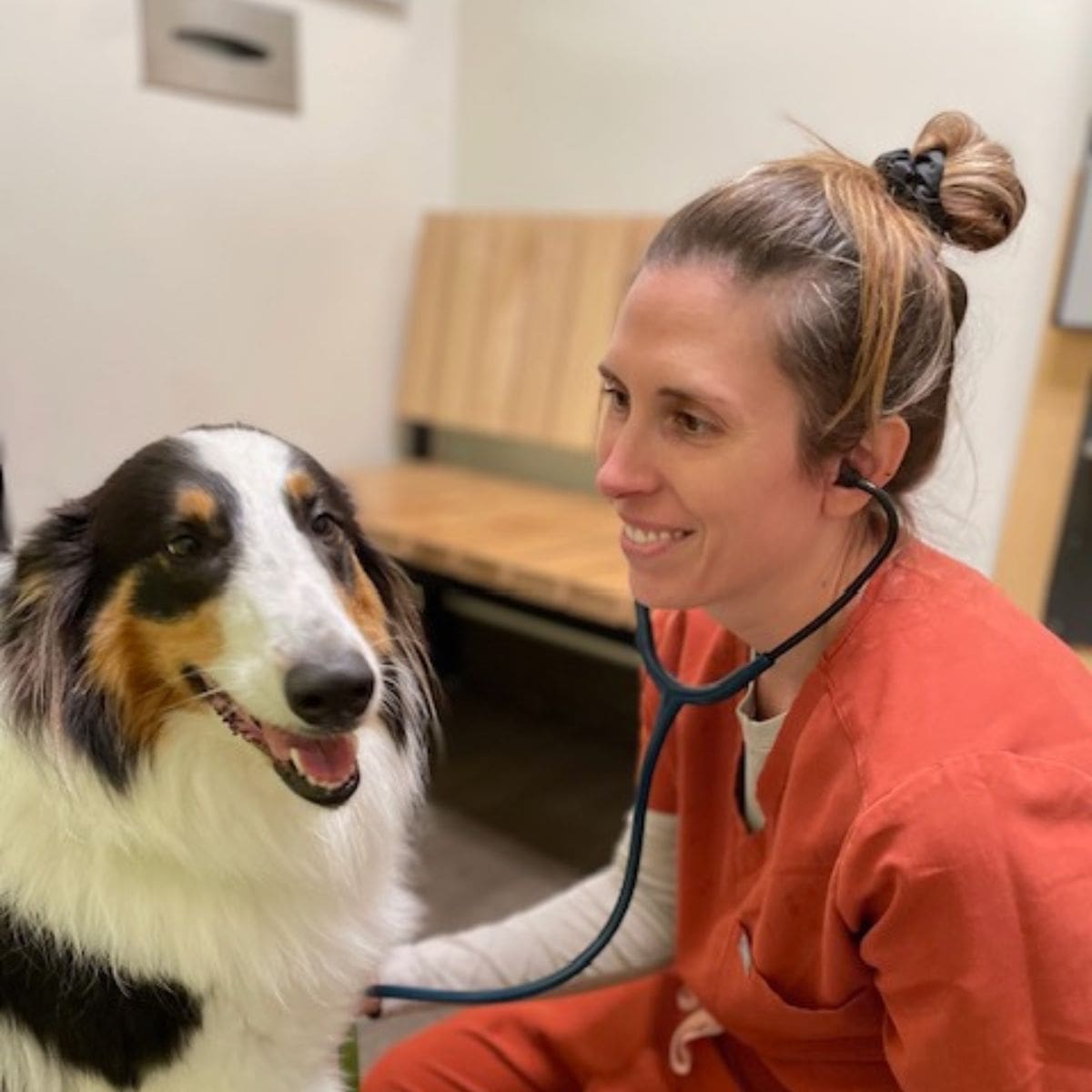 Profile picture of Kirsten Marchetta, CVT, Credentialed Veterinary Technician