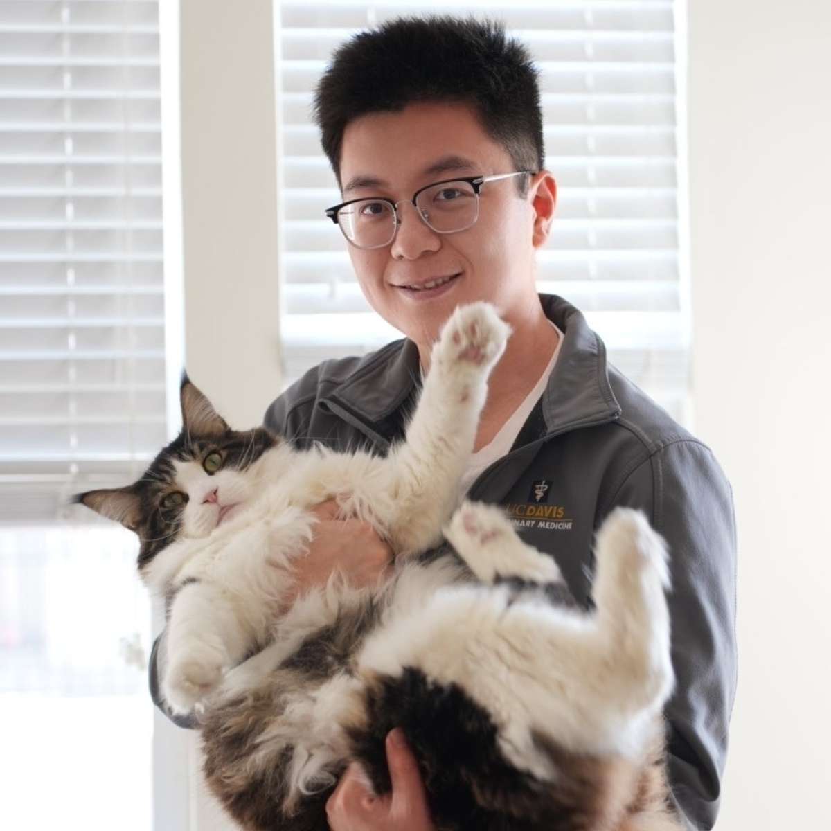 Profile picture of Weirong Zou, DVM, Veterinarian