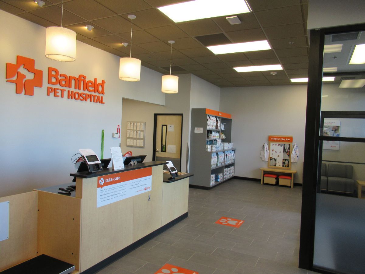 The front desk view at Banfield Pet Hospital - Wellington