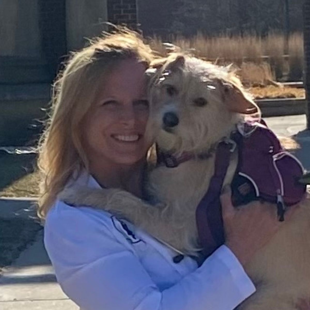 Profile picture of Megan Webb, DVM, MPH, Veterinarian