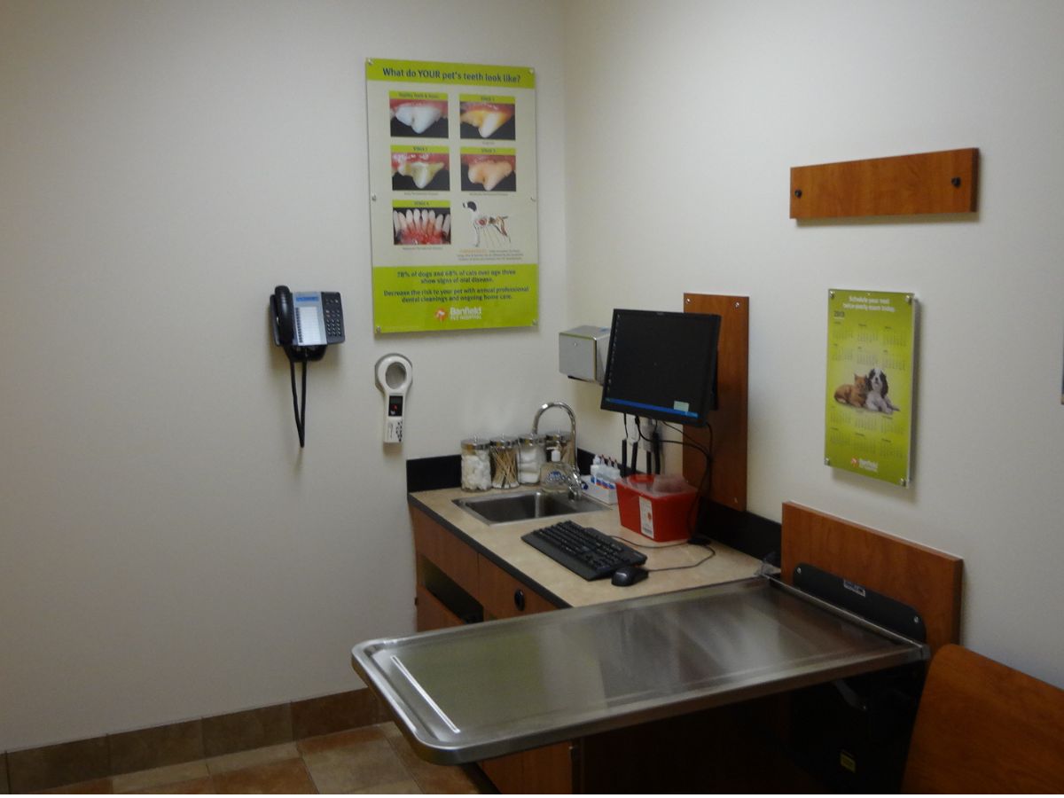 Banfield Pet Hospital: Savannah Victory Drive vet exam room