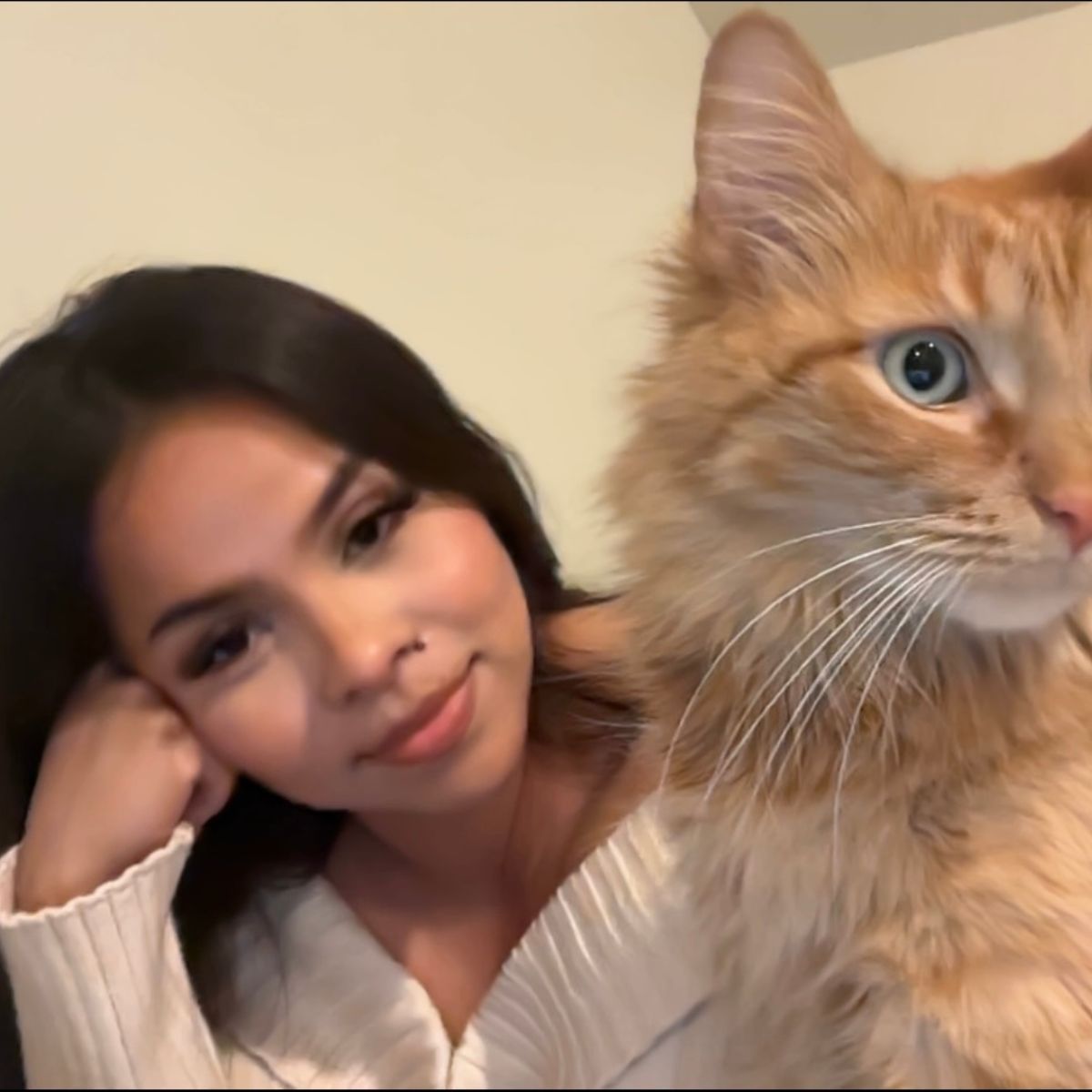 Profile picture of Ana Rafael Cruz, Veterinary Assistant