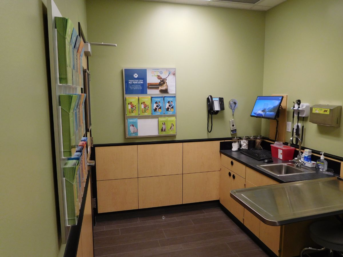 The Banfield Miramar exam room and table