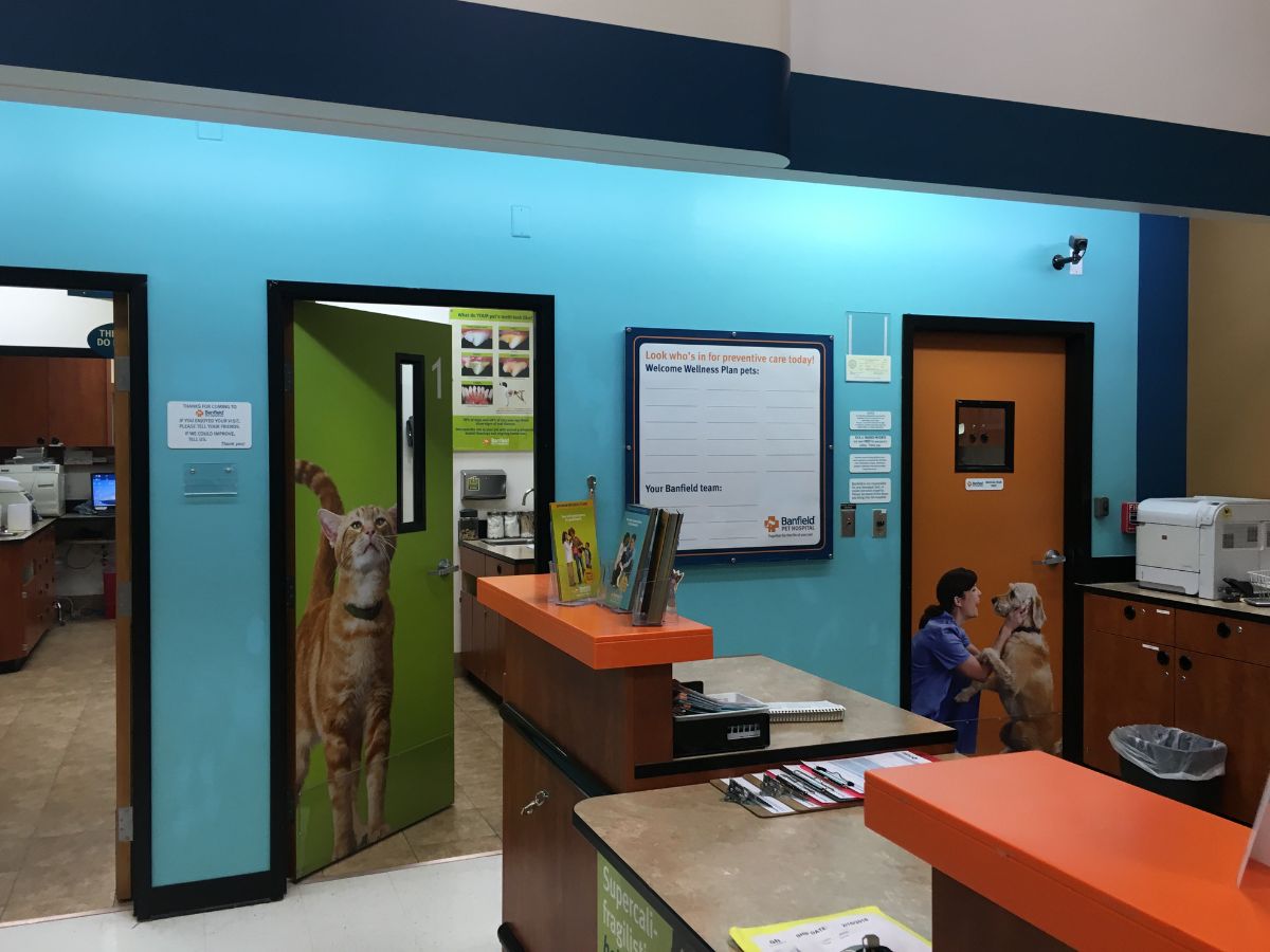 The Banfield Pet Hospital: Mill Creek front desk and exam rooms