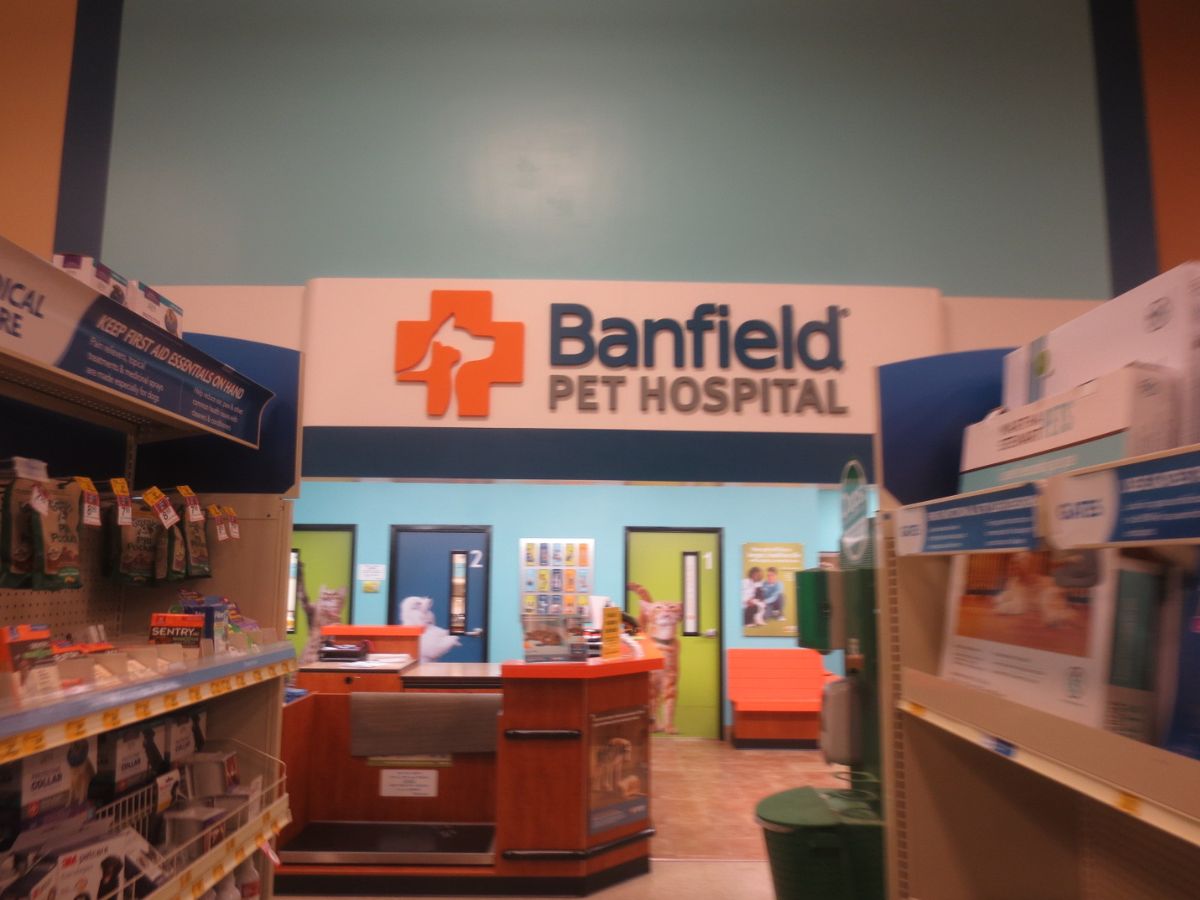 The Banfield Pet Hospital: Buckhead front desk
