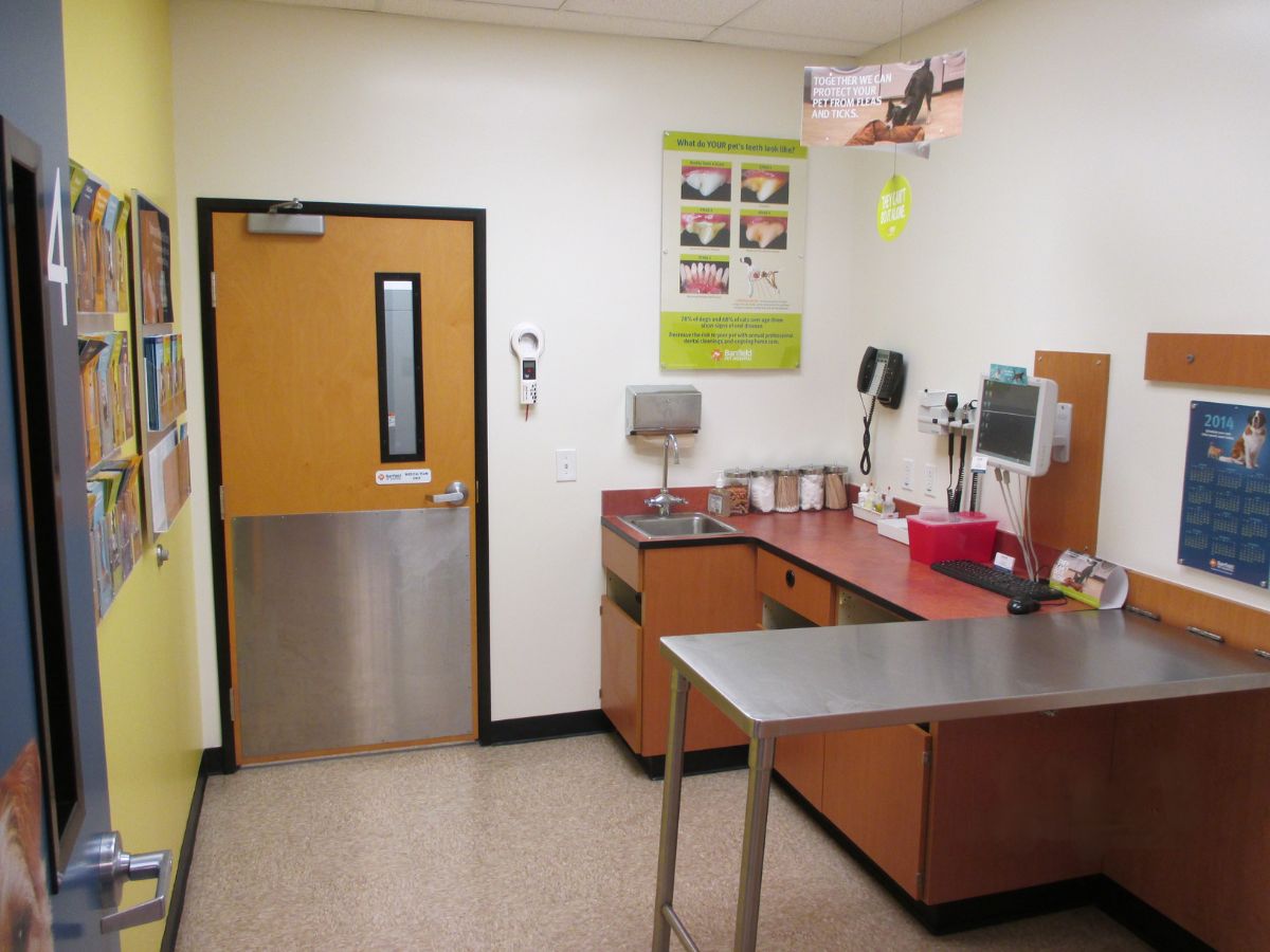 The Banfield Pet Hospital: Flowery Branch exam room with table