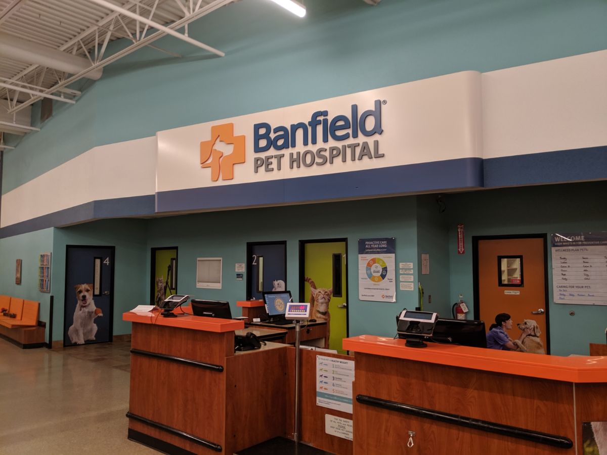The Banfield Greenwood hospital front desk and exam room doors