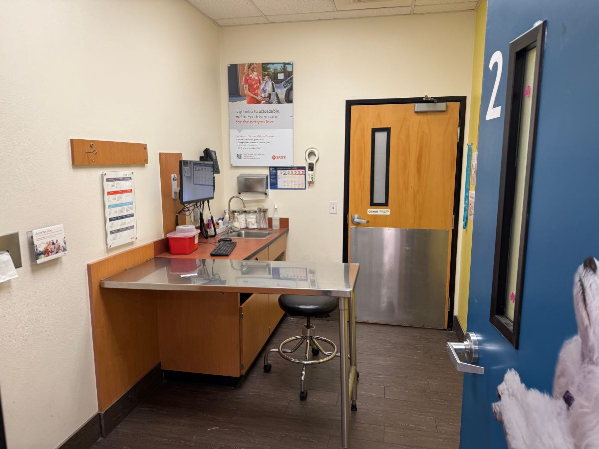 The exam room inside Banfield Pet Hospital - Upland