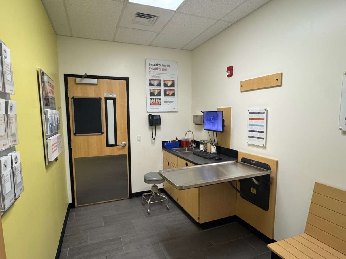Banfield Pet Hospital - Miami Carter Square exam room