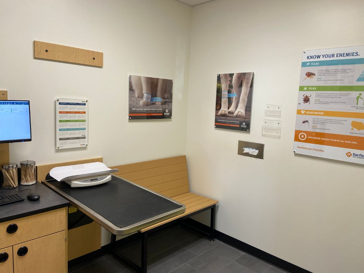 Inside a Banfield Northridge hospital exam room