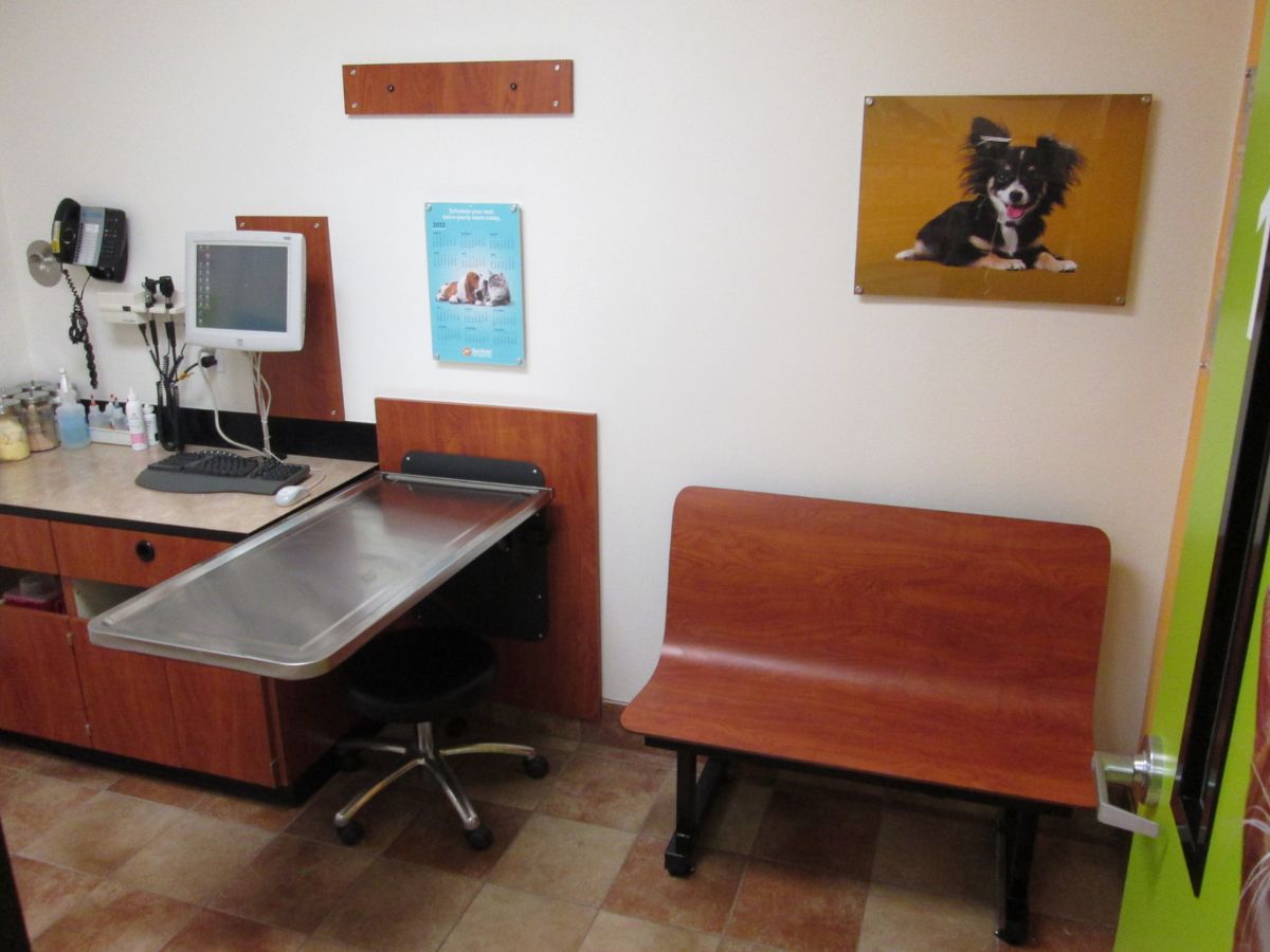 Inside a Glen Burnie Banfield exam room