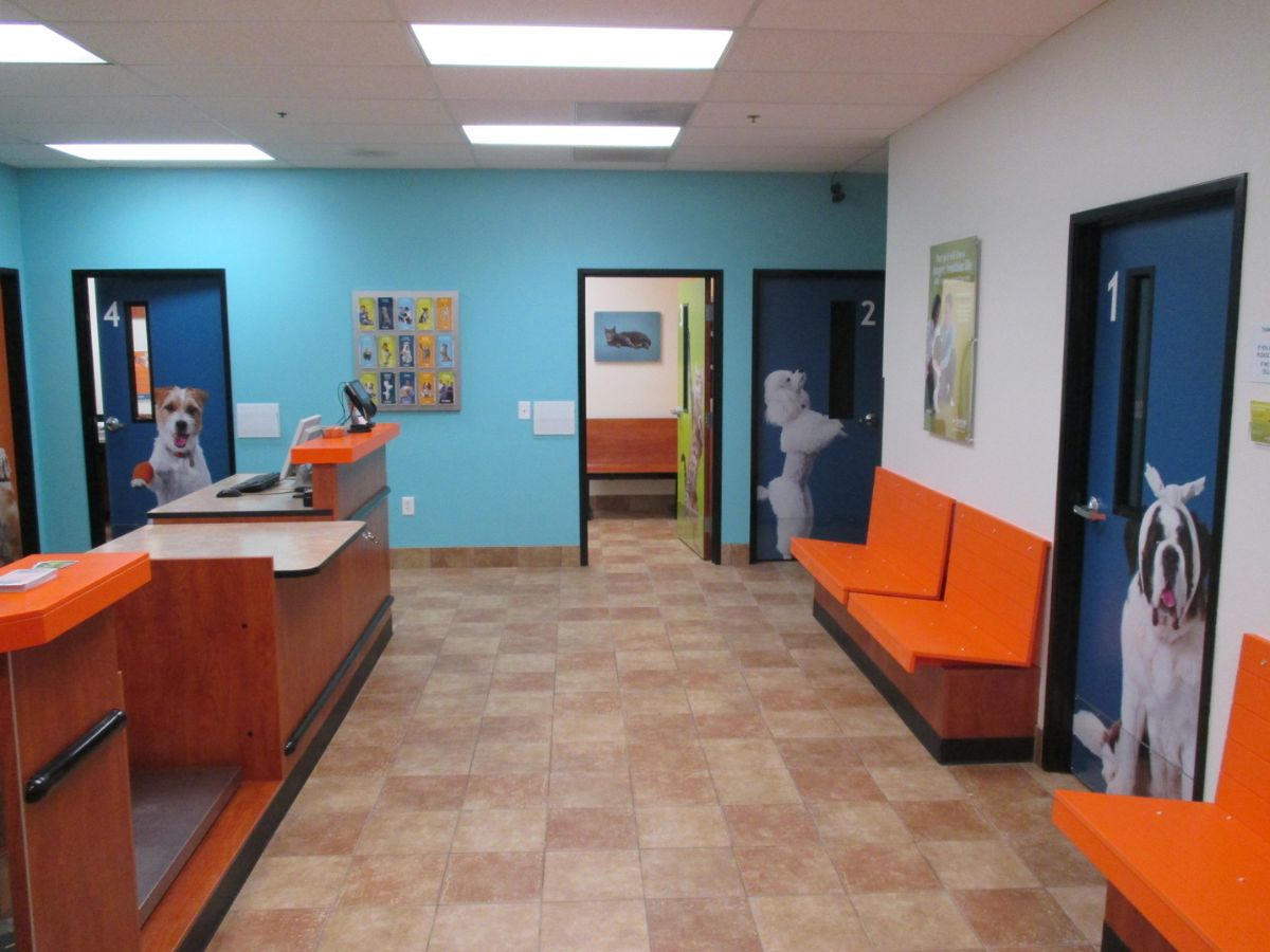 The Northville Banfield hospital front desk and exam room entrances