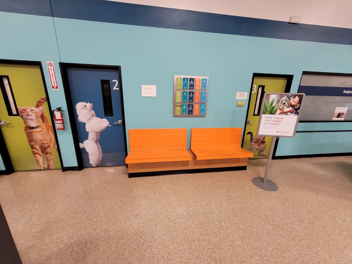 The Chesterfield Banfield exam room entrances and waiting area