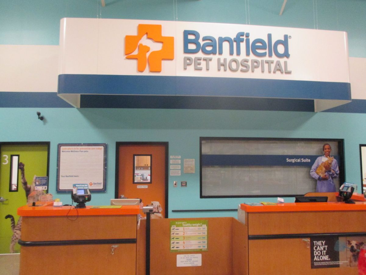 The front desk view of the Rossford Banfield hospital