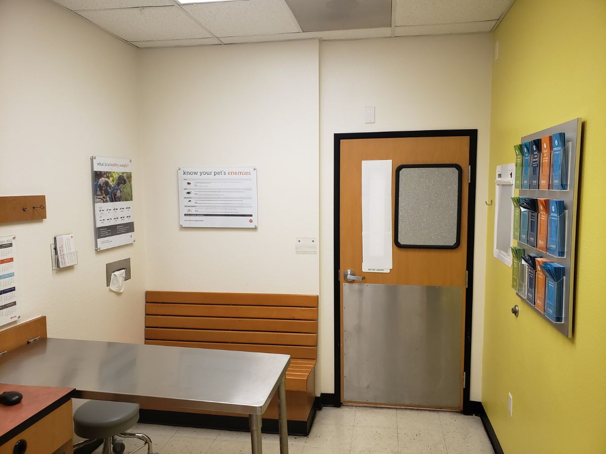 Inside a Banfield Rossford exam room with an exam table