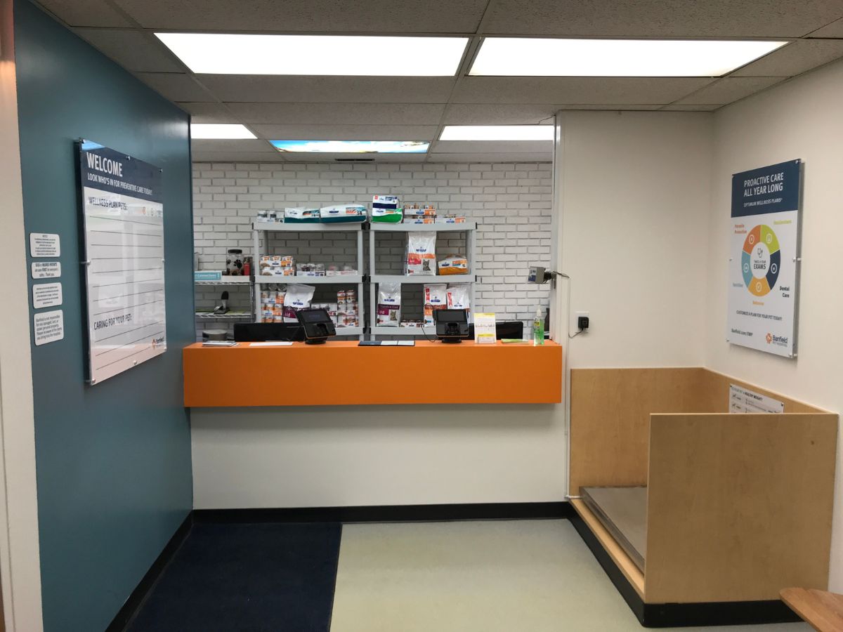 The Waterford Banfield hospital front desk and waiting area