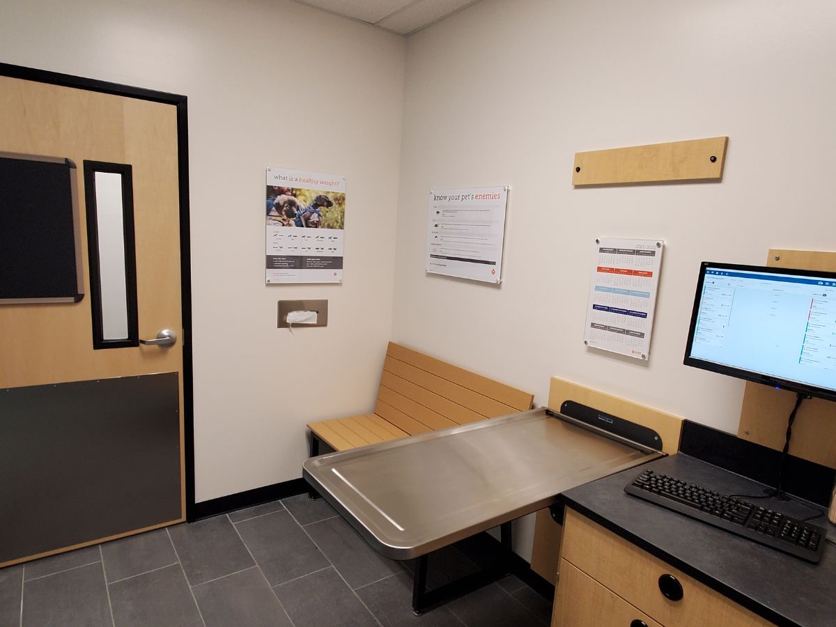 Inside an exam room at the Rochester Banfield exam room