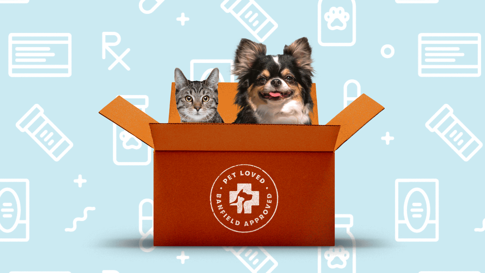 Illustration of a cat and dog inside a Banfield AutoShip box