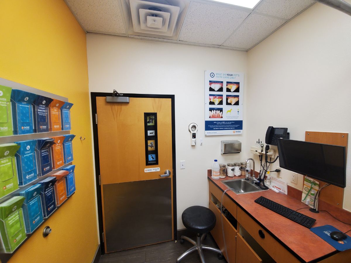 Alternate inside view of an exam room inside the Banfield Rochester hospital