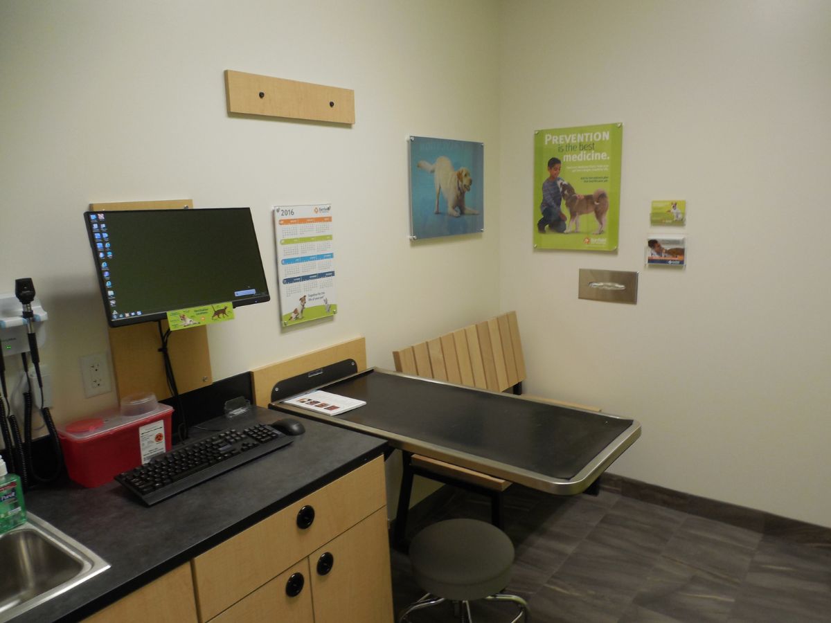 Another view of the exam room inside the Highland Park Banfield hospital
