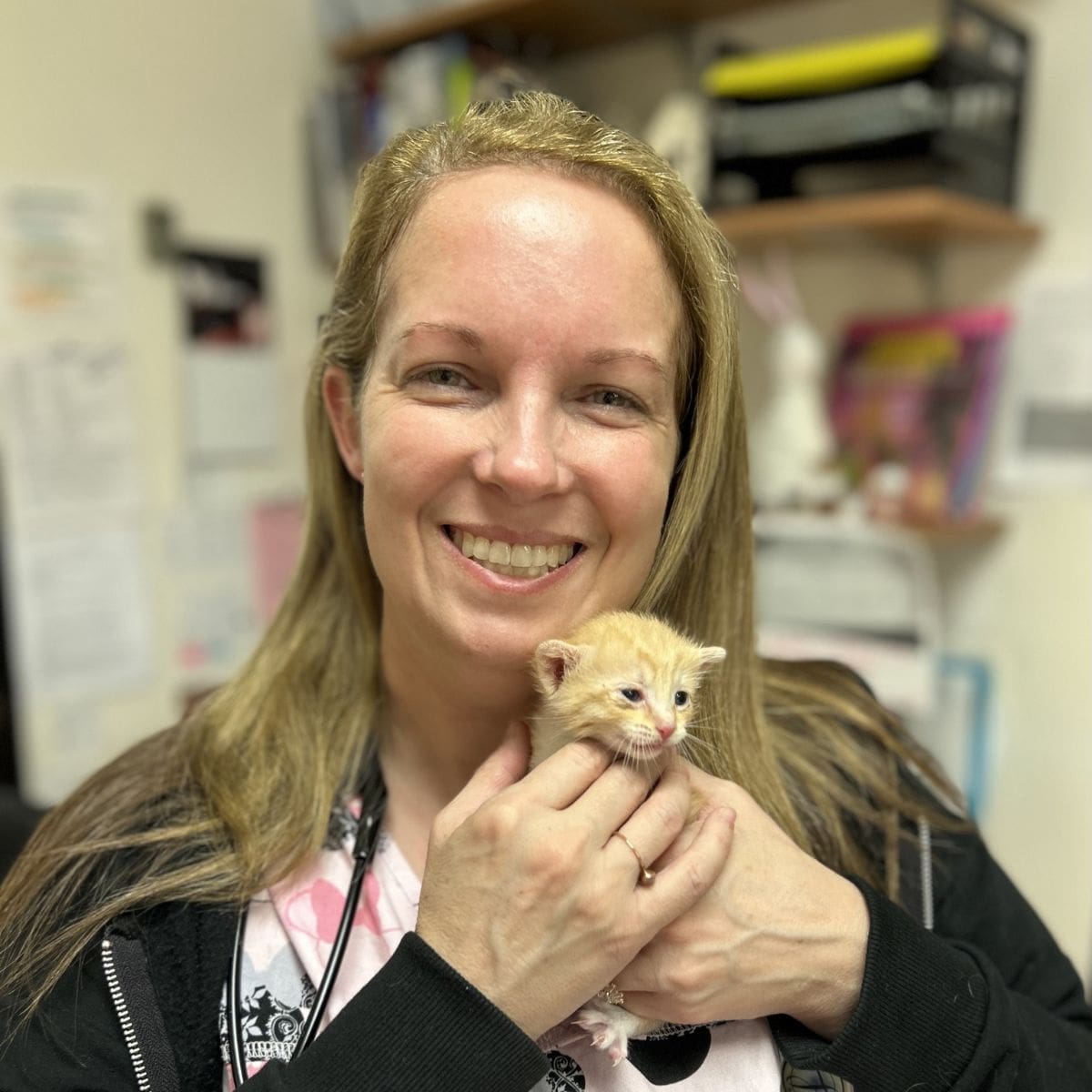 Profile picture of Diane Dianora, DVM, Veterinarian