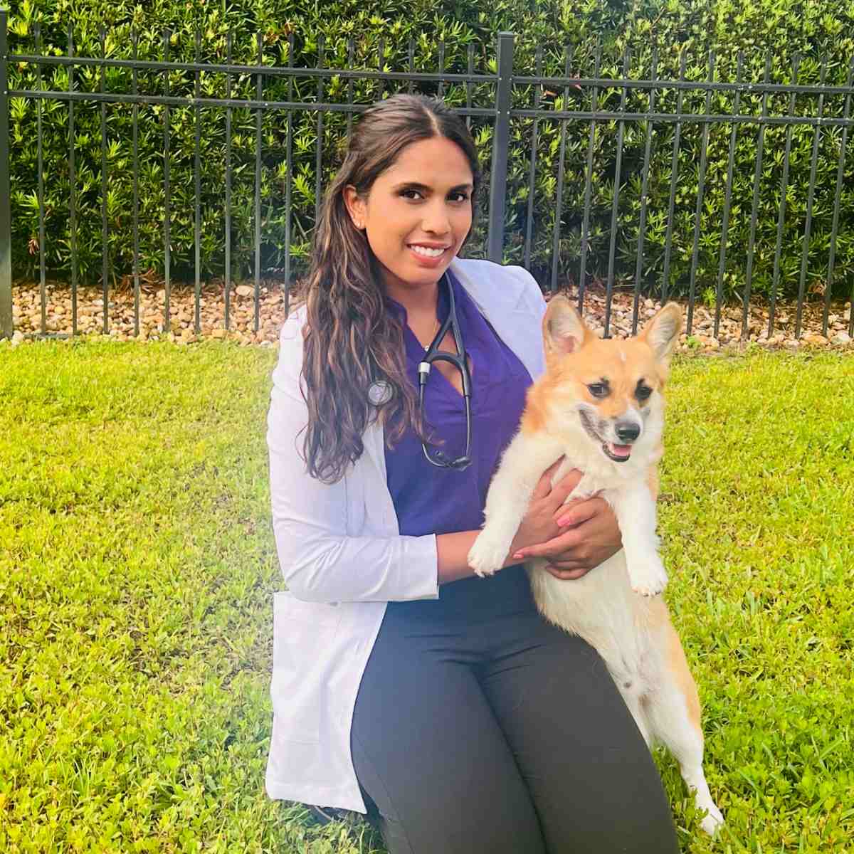 Profile picture of Sruthi Nagabandi, DVM, Veterinarian