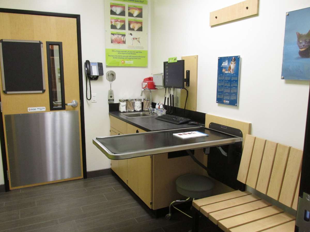 Inside an exam room at the Raleigh Creedmoor Banfield hospital