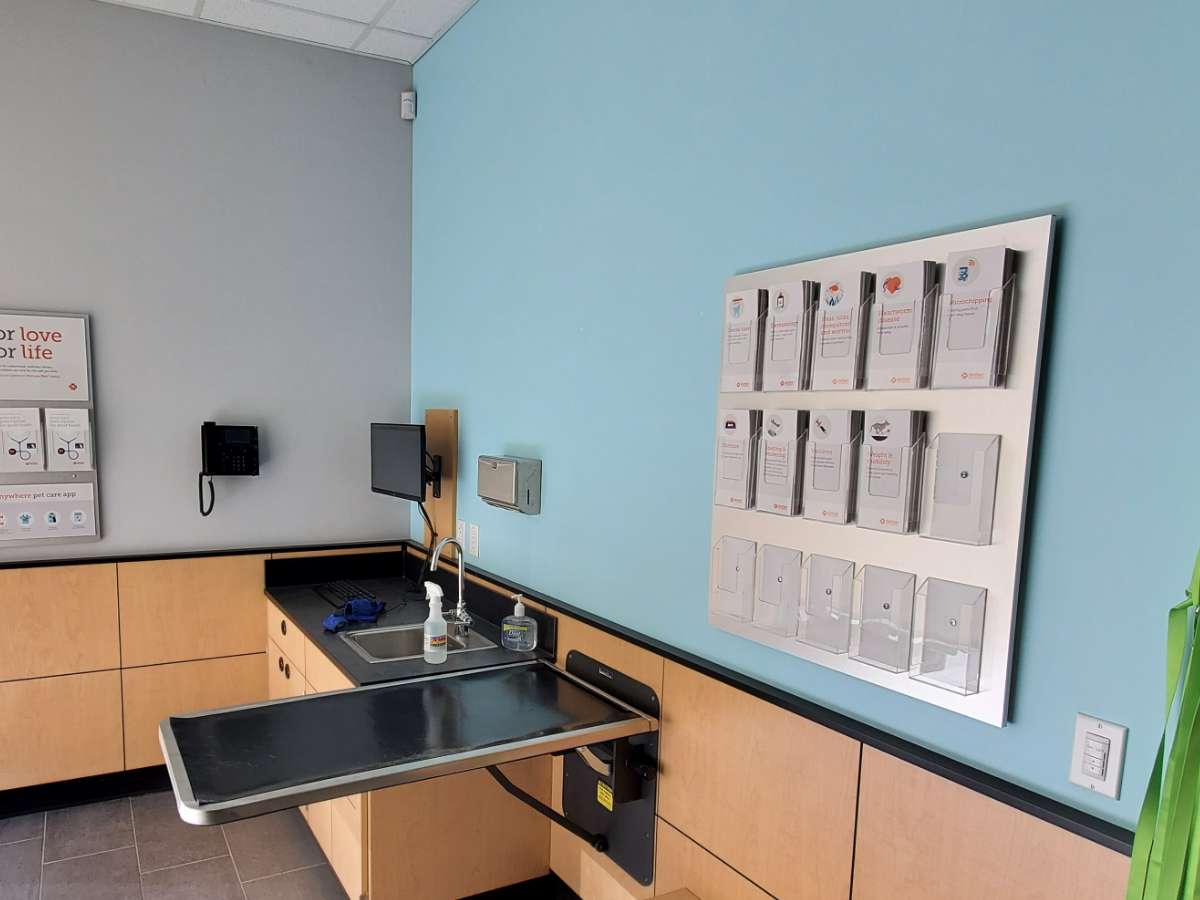 A view of the Myrtle Beach Banfield exam room with the table