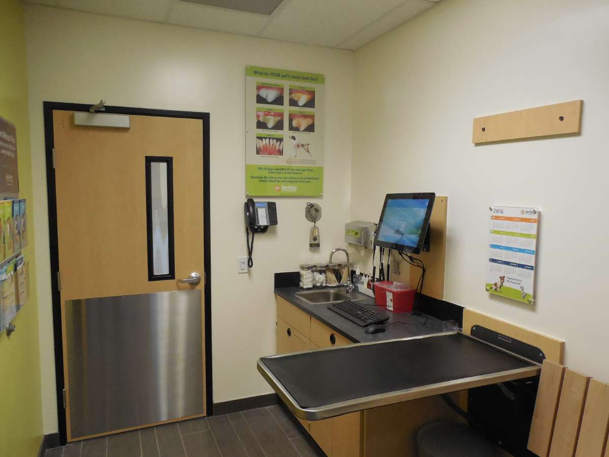 Inside the exam room at the Harrisburg Banfield hospital