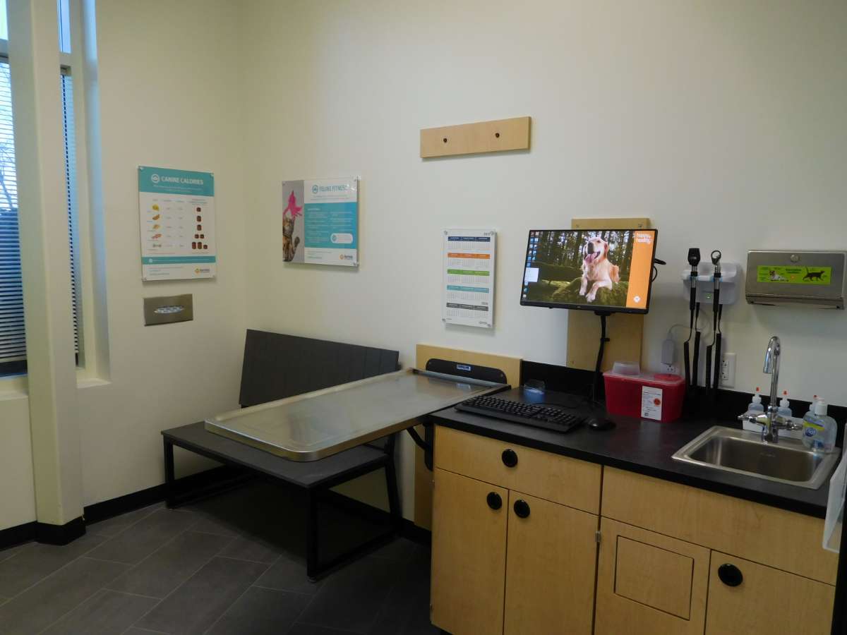 The Charlotte Ballantyne Banfield exam room and table