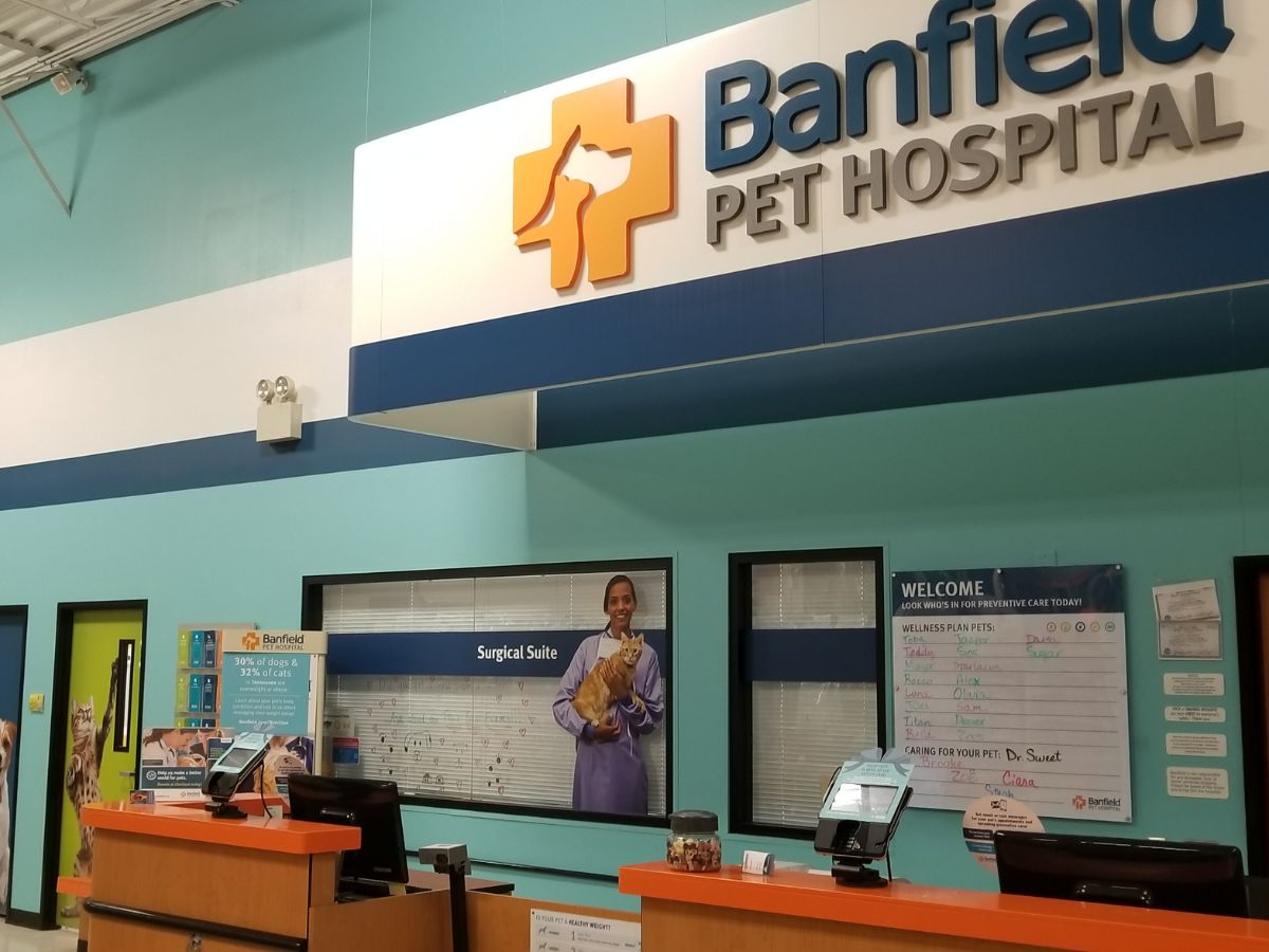 The front desk at Banfield - Hermitage