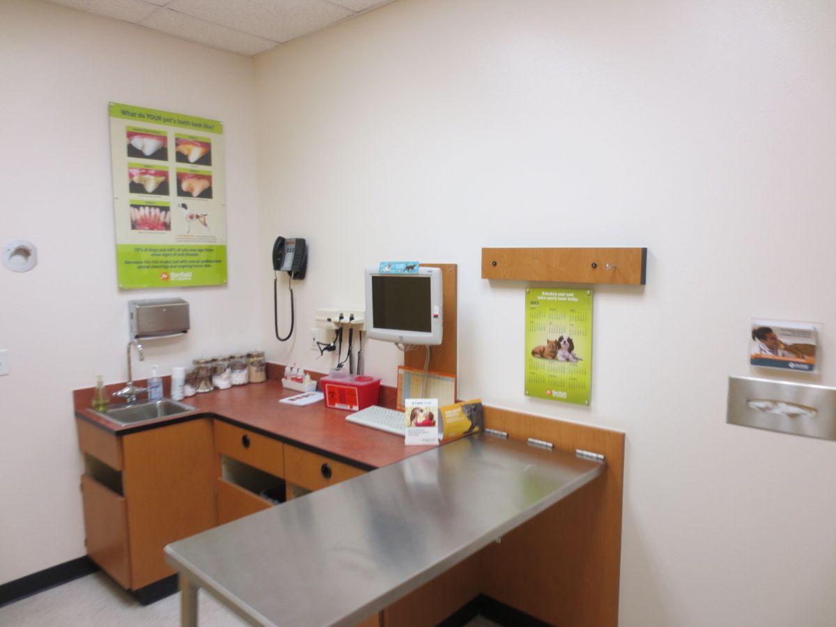 The Banfield Pet Hospital: Chattanooga N exam room with table