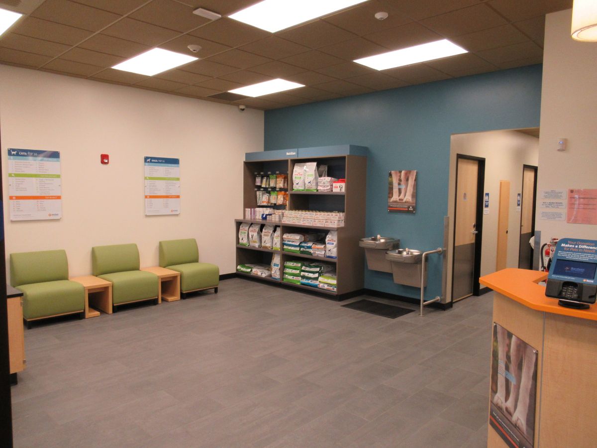 The front desk and supply shelves at the Fairfax Banfield hospital