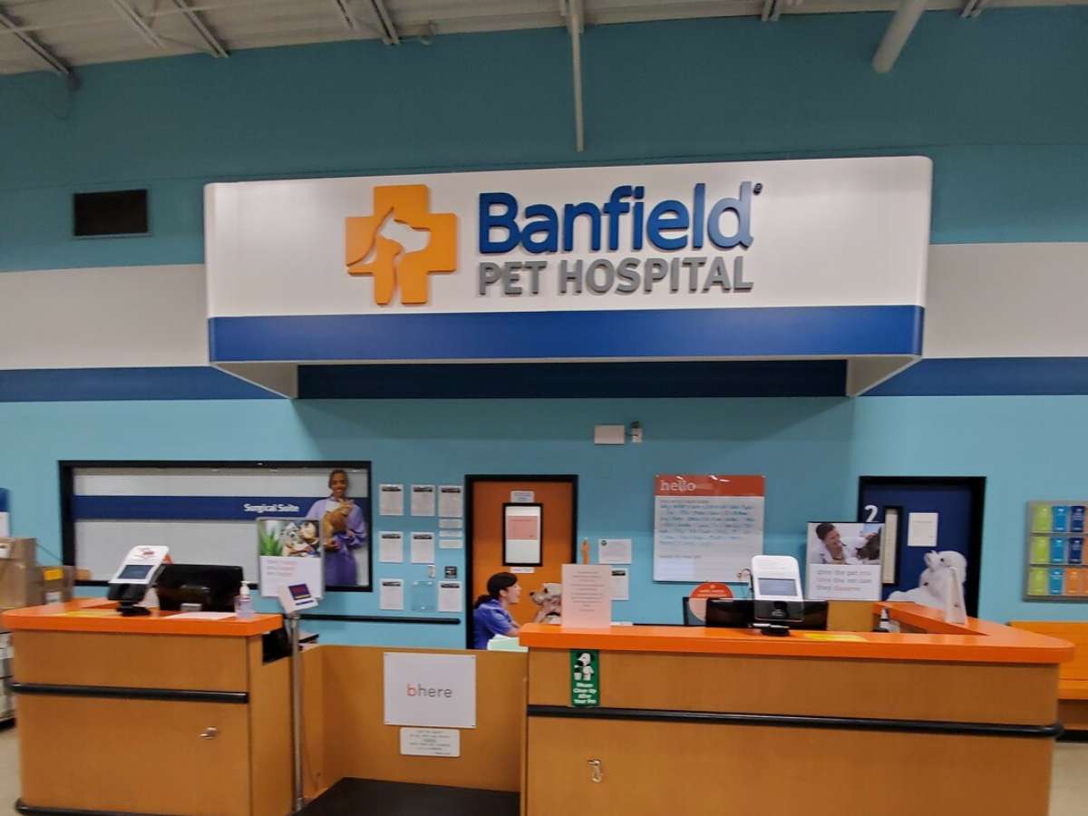 The Sparks Banfield front desks and check-in area