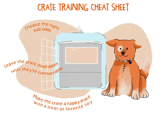 An illustrated gif of an orange puppy outside a crate