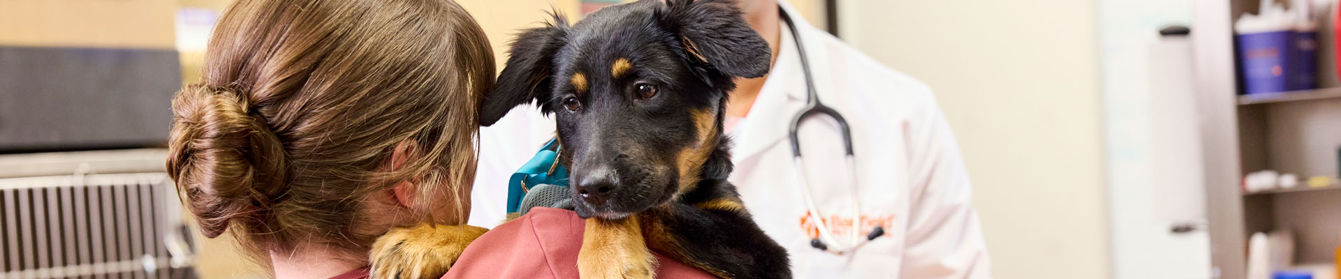 A woman holding a black and brown puppy