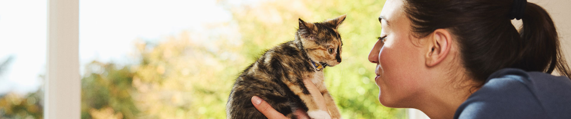 A woman holding a tiny calico kitten