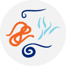 Illustrated icon of internal parasites