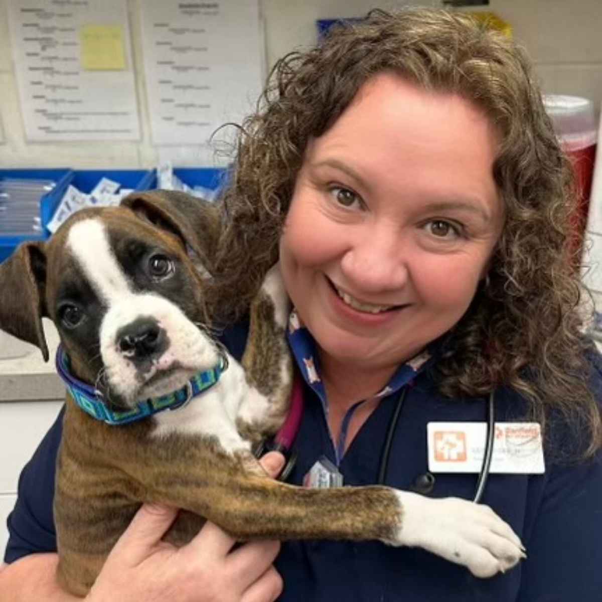 Profile picture of Esther Barber, DVM, Veterinarian