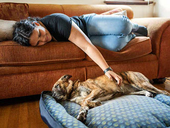 An older dog laying by its owner