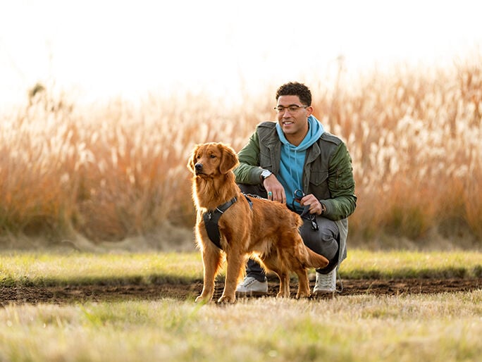 A brown dog in a field with its owner