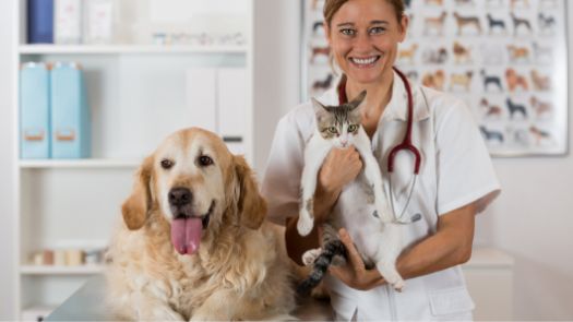 A smiling dog and their vet looking at the camera