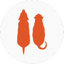 Illustration of a cat and dog with obese body weights