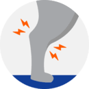 Illustration of a dog's leg