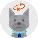 Illustration of a confused gray dog