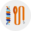 Illustration of a dog leash and a dog toy