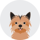 Illustration of a yorkie